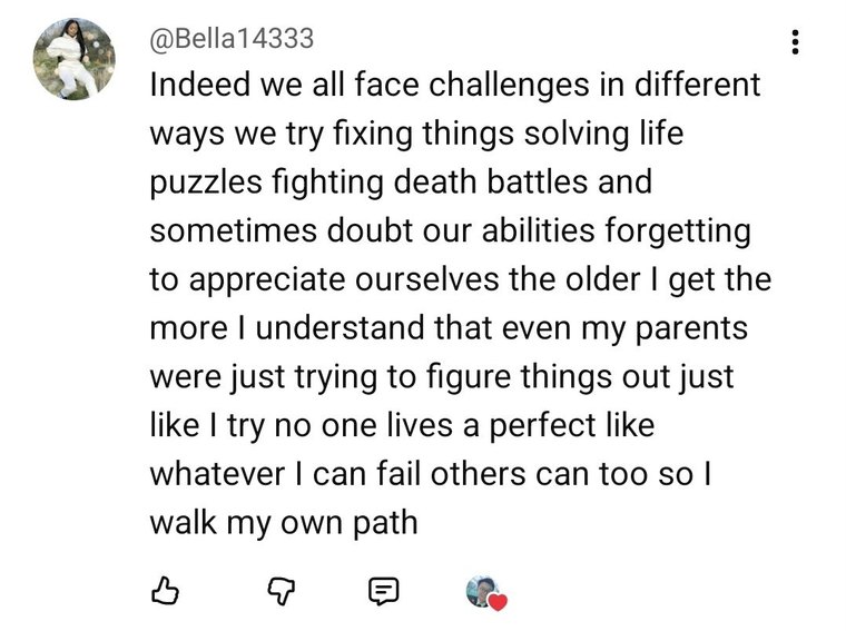 YouTube comment from @Bella14333: “Indeed we all face challenges in different ways we try fixing things solving life puzzles fighting death battles and sometimes doubt our abilities forgetting to appreciate ourselves the older I get the more I understand that even my parents were just trying to figure things out just like I try no one lives a perfect like whatever I can fail others can too so I walk my own path”